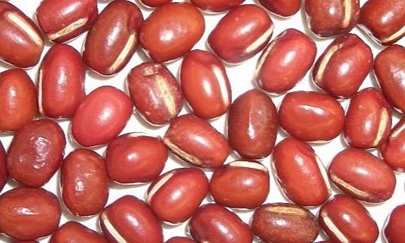 Good products - Azuki Beans (Red Beans)