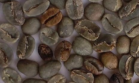 Defects removed - Coffee Beans - Green/Raw