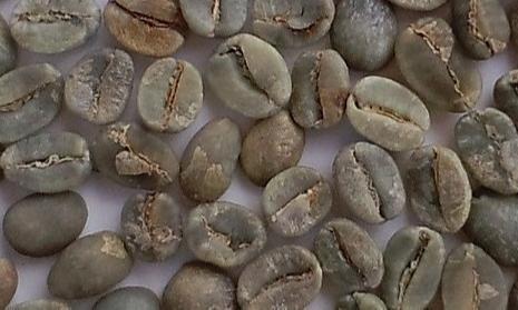 Good products - Coffee Beans - Green/Raw