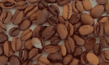 Defects removed - Coffee Beans - Roasted