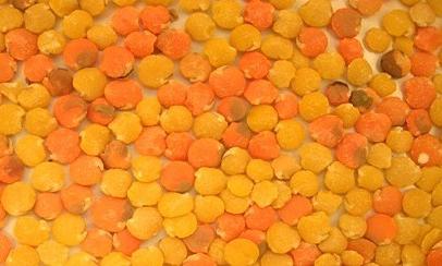 Defects removed - Lentils