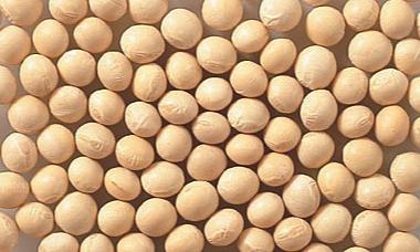 Good products - Soybeans