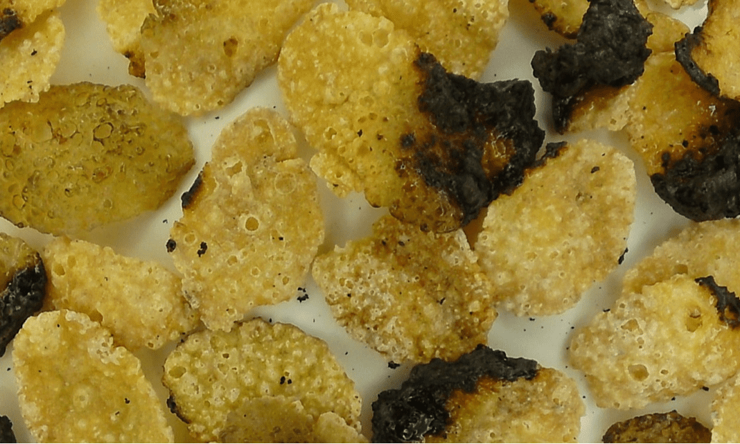 Defect - Corn Flakes