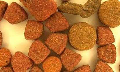 Defect - Dog Food / Pet Food